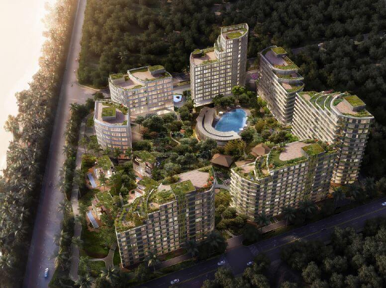 Serensia-Woods-birds-eye (1)